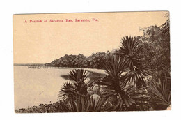 Sarasota, Florida, USA, "A Portion Of Sarasota Bay...". 1914 Postcard - Sarasota