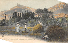 Chambéry           73         Environs. Le Niveley Et Le Mont Pennay.  Fenaison     (voir Scan) - Chambery