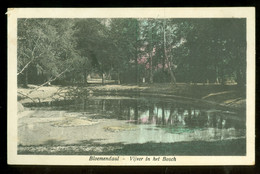 NEDERLAND * BLOEMENDAAL * VIJVER IN HET BOSCH  (3916b) - Bloemendaal