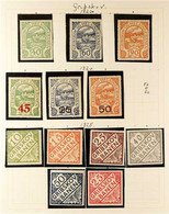 LOCAL RAILWAY COMPANY STAMPS GRIBSKOV BANEN 1920-1975 Never Hinged Mint Collection In Hingeless Mounts On Leaves, All Di - Other & Unclassified