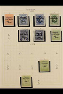 RAILWAY LOCAL STAMPS HORSENS PRIVATBANER 1951-1967 Interesting Mostly Never Hinged Mint Collection In Hingeless Mounts O - Other & Unclassified