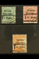 TRENTINO - ALTO ADIGE 1918 -19 Barred "T" Overprint Without Numerals, 5c On 5c, 10c On 10 And 20c On 20c, Sass BZ3/20-22 - Unclassified