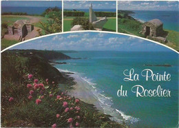 CPM   Plérin Sur Mer Pointe Du Roselier - Plérin / Saint-Laurent-de-la-Mer