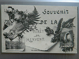 SOUVENIRS DE LA FORET DE MERVENT - Saint Hilaire Des Loges