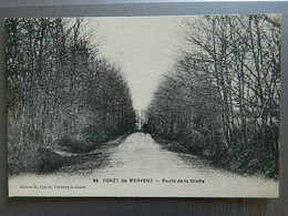 FORET DE MERVENT                         ROUTE DE LA GROTTE - Saint Hilaire Des Loges