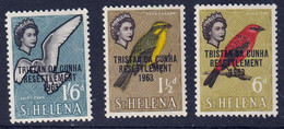 TRISTAN DA CUNHA - Faune, Animaux, Végétaux, Elizabeth II En Médaillon - Y&T N° 55-67 - MNH - 1963 - Tristan Da Cunha