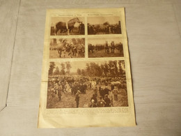 Origineel Knipsel ( 3751 ) Uit Tijdschrift  " Ons Land "  1925 :   Paardenwedstrijd  Melle - Ohne Zuordnung