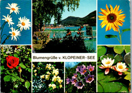 8531 - Kärnten - Klopeiner See , Blumen - Gelaufen 1967 - Klopeinersee-Orte