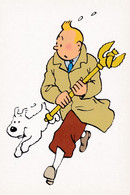 TINTIN - Bandes Dessinées