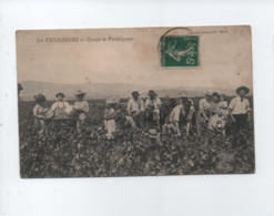 CPA -  Les Vendanges - Groupe De Vendangeurs  ( Vignes , Vigne , Raisins , Raisin ) - Viñedos