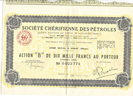 ACTION SOCIETE CHERIFIENNE DES PETROLES - MAROC - 1954 - Petrolio