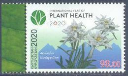 2020. Kyrgyzstan, International Year Of Plants Health, 1v Perforated, Mint/** - Kirgisistan