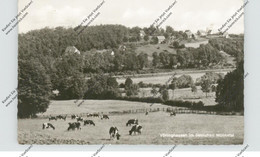 4773 MÖHNESEE - VÖLLINGHAUSEN, Dorfansicht 1961 - Möhnetalsperre