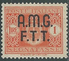 1947 TRIESTE A SEGNATASSE 1 LIRA MH * - RE10-9 - Impuestos