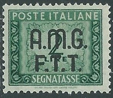 1947-49 TRIESTE A SEGNATASSE 2 LIRE MNH ** - RE10-2 - Segnatasse