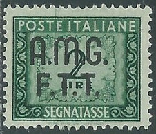 1947-49 TRIESTE A SEGNATASSE 2 LIRE MNH ** - RE10-7 - Postage Due