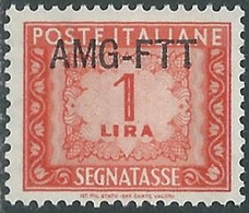 1949-54 TRIESTE A SEGNATASSE 1 LIRA MNH ** - RE10-8 - Postage Due