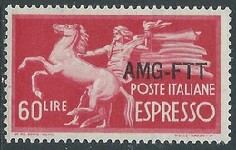 1950 TRIESTE A ESPRESSO 60 LIRE MNH ** - RE2-9 - Express Mail