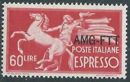 1950 TRIESTE A ESPRESSO 60 LIRE MNH ** - RE21-5 - Express Mail