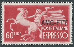 1950 TRIESTE A ESPRESSO 60 LIRE MNH ** - RE22-8 - Posta Espresso