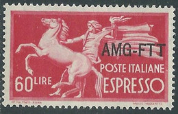 1950 TRIESTE A ESPRESSO 60 LIRE MNH ** - RE23-5 - Express Mail