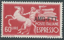 1950 TRIESTE A ESPRESSO 60 LIRE MNH ** - RE23-7 - Posta Espresso