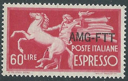 1950 TRIESTE A ESPRESSO 60 LIRE MNH ** - RE23-8 - Poste Exprèsse