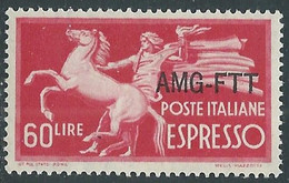 1950 TRIESTE A ESPRESSO 60 LIRE MNH ** - RE23-9 - Express Mail