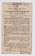 ADEL NOBLESSE     AGNES DE VRIERE   HERENHOUT 1886   ASSEBROEK 194é - Esquela