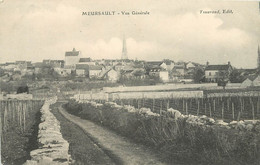 MEURSAULT - Vue Générale. - Meursault