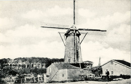 Korenmolen, De Arend, Maassluis, Real Photo - Maassluis