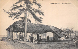 51-CHAMPIGNY- UNE CHAUMIERE - Champigny