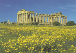 Selinunte( Trapani ) - Tempio G - Non Viaggiata - Trapani