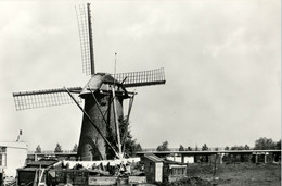 Sluispolder, Wippersmolen, Maassluis, Poldermolen, Real Photo - Maassluis