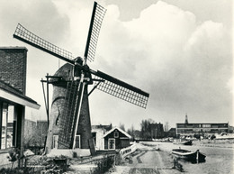 Sluispolder, Wippersmolen, Maassluis, Poldermolen, Real Photo - Maassluis