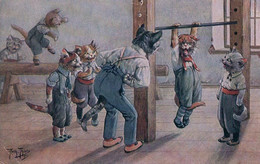 Arthur Thiele Illustrateur, Chats Habillés, Gymnastique (1423) Usure Et Pli D'angle - Thiele, Arthur