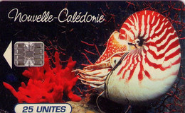 NUEVA CALEDONIA. NC-038A. Nautilus Macromphalus - Aquarium Municipal De Nouméa. Red Control Number. (002) - Nouvelle-Calédonie