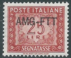 1949-54 TRIESTE A SEGNATASSE 25 LIRE MNH ** - RE10-5 - Postage Due