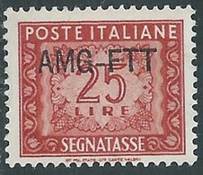 1949-54 TRIESTE A SEGNATASSE 25 LIRE MNH ** - RE11-10 - Impuestos