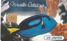 NUEVA CALEDONIA. NC-036A. FISH. Paracanthurus Hepatus, 1995-11. BLACK CHIP. (005) - Nouvelle-Calédonie