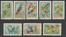 UNGHERIA - Hungary - Magyar - Ungarn - 8 Stamps - Passeri - Sparrows - Usati - Used - Passeri