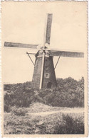 Kasterlee - Zwarte Molen Kleinrees - & Windmill - Kasterlee