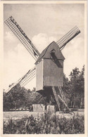 Kasterlee - Oude Standaardmolen - & Windmill - Kasterlee
