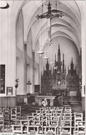 Kasterlee - Binnenzicht St. Willibrordus Kerk - Kasterlee
