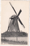 Kasterlee - Oostmolen - & Windmill - Kasterlee