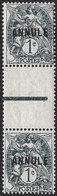 Cours D'instruction Type Blanc ANNULE N°107a CI-2** Paire Interpanneau Type 1a En Haut Et 1b En Bas RRR Signé Calves - 1900-29 Blanc