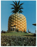 (MM 22) Australia - QLD - Big Pineapple Near Nambour - Sunshine Coast