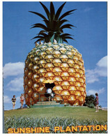 (MM 22) Australia - QLD - Big Pineapple Near Nambour - Sunshine Coast