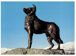 (MM 22) New Zealand - Tekapo - Shepherd Dog Monument (dog Statue) - Monuments