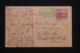 TCHÉCOSLOVAQUIE - Entier Postal + Complément Pour Hainitz  - L 93876 - Cartoline Postali